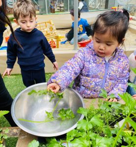 Kids Club Clarence Street | Healthy Lifestyle Habits | Premium Childcare