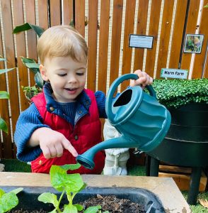 Kids Club Clarence Street | Healthy Lifestyle Habits | Outdoor Garden