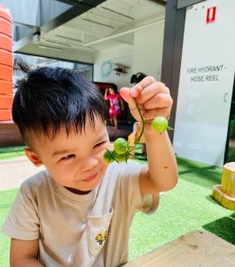 Kids Club Clarence Street | Healthy Lifestyle Habits | Outdoor Gardening | Premium Childcare