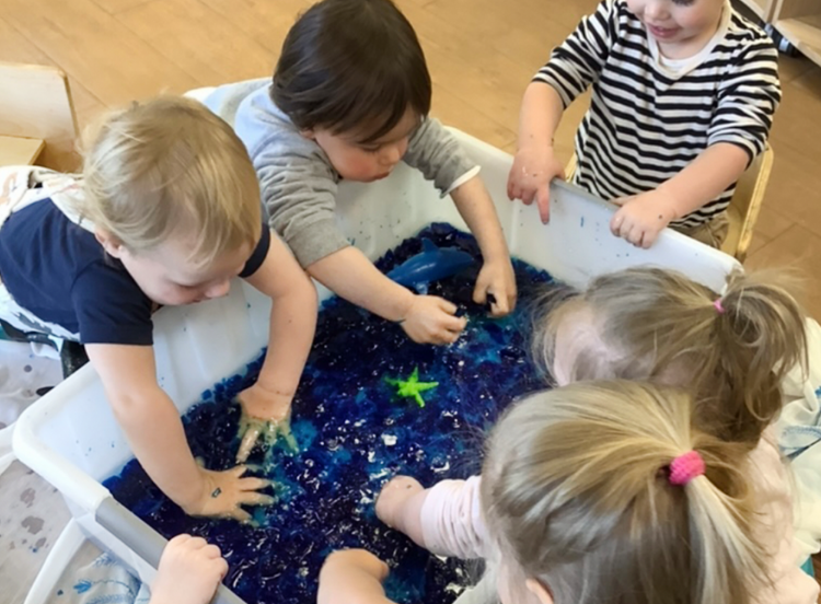 Ocean Sensory Experience