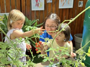 Kids Club Clarence Street | Healthy Lifestyle Habits | Outdoor Garden and Nutrition | Premium Childcare