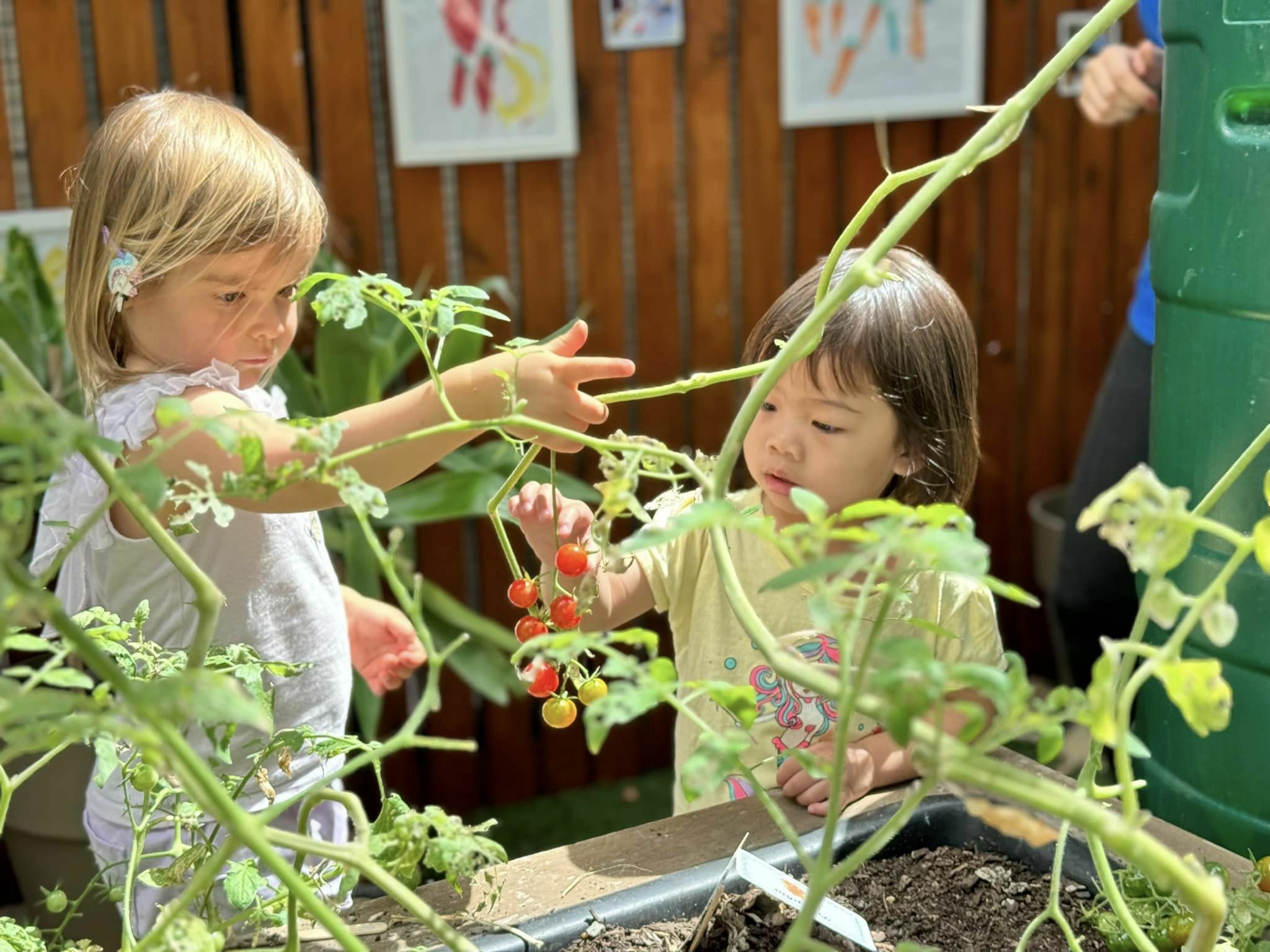 Encouraging Kids to Cook, Eat Well, and Stay Active