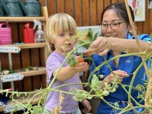 Kids Club Clarence Street | Healthy Lifestyle Habits | Outdoor Garden and Nutrition | Premium Childcare
