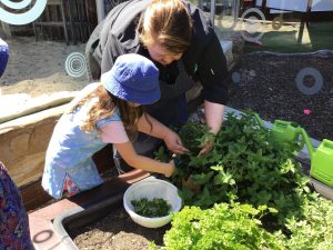 Kids Club Elizabeth Street | Healthy Lifestyle Habits | Outdoor Garden and Nutrition | Premium Childcare